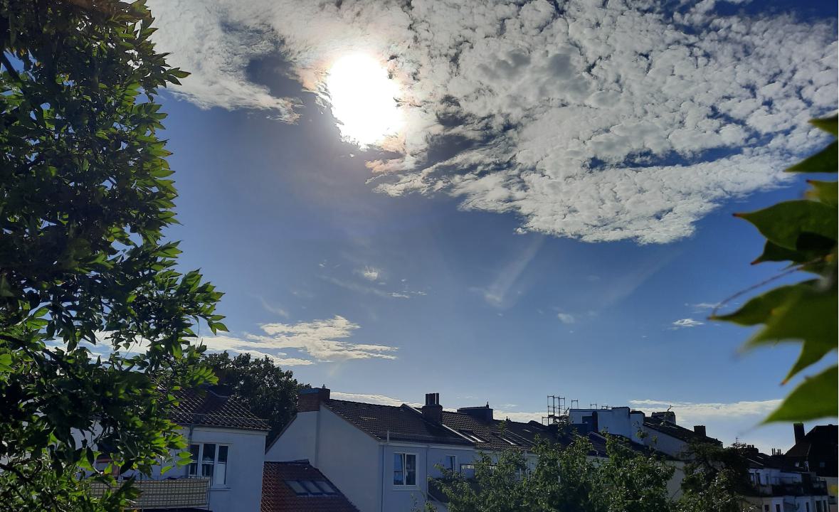 Hitze über Bremens Dächern, Foto: ErdwärmeDich: Andreas Kisters