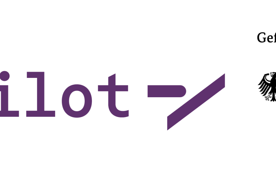 Logo des Förderprogramms "DATIpilot Innovationscommunity CommunitE-Innovation", gefördert dutch das Bundesminiterium für Forschung, Technologie und Raumfahrt (BMFTR)